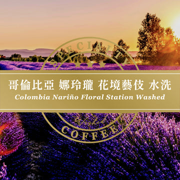 哥倫比亞 娜玲瓏 花境藝伎 水洗