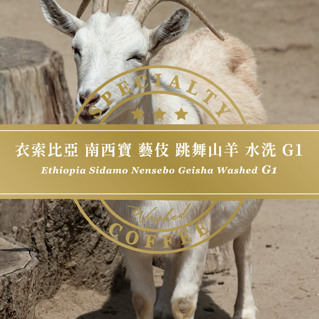 衣索比亞 南西寶 藝伎 跳舞山羊 水洗 G1