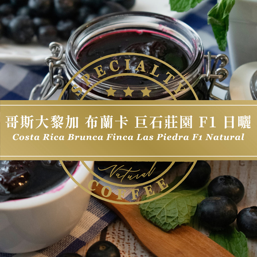 哥斯大黎加 布蘭卡 巨石莊園 F1 日曬