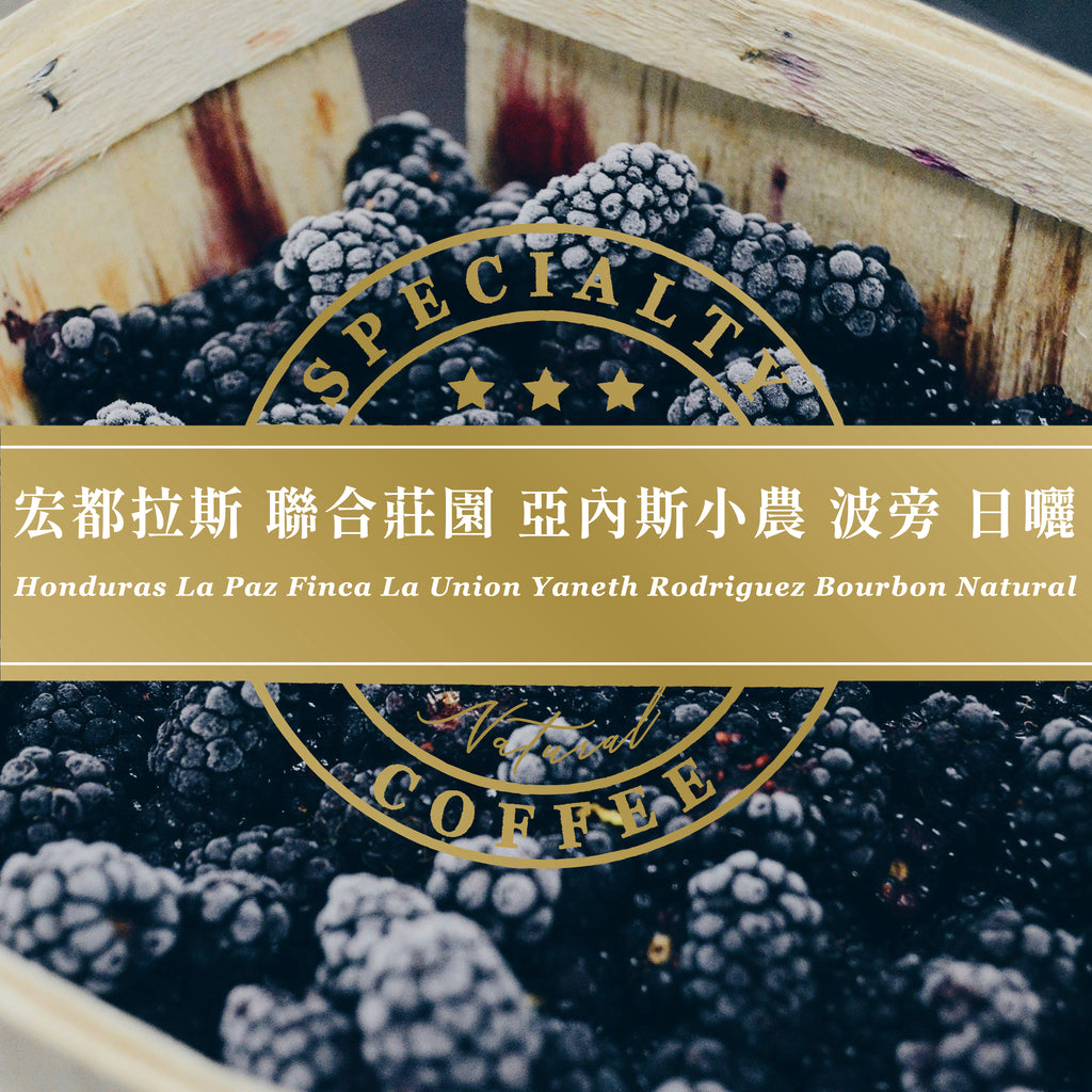 宏都拉斯 聯合莊園 亞內斯小農 波旁 日曬