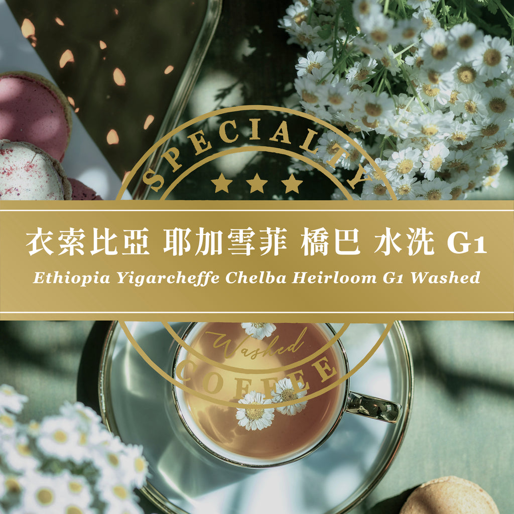 衣索比亞 耶加雪菲 橋巴 水洗 G1