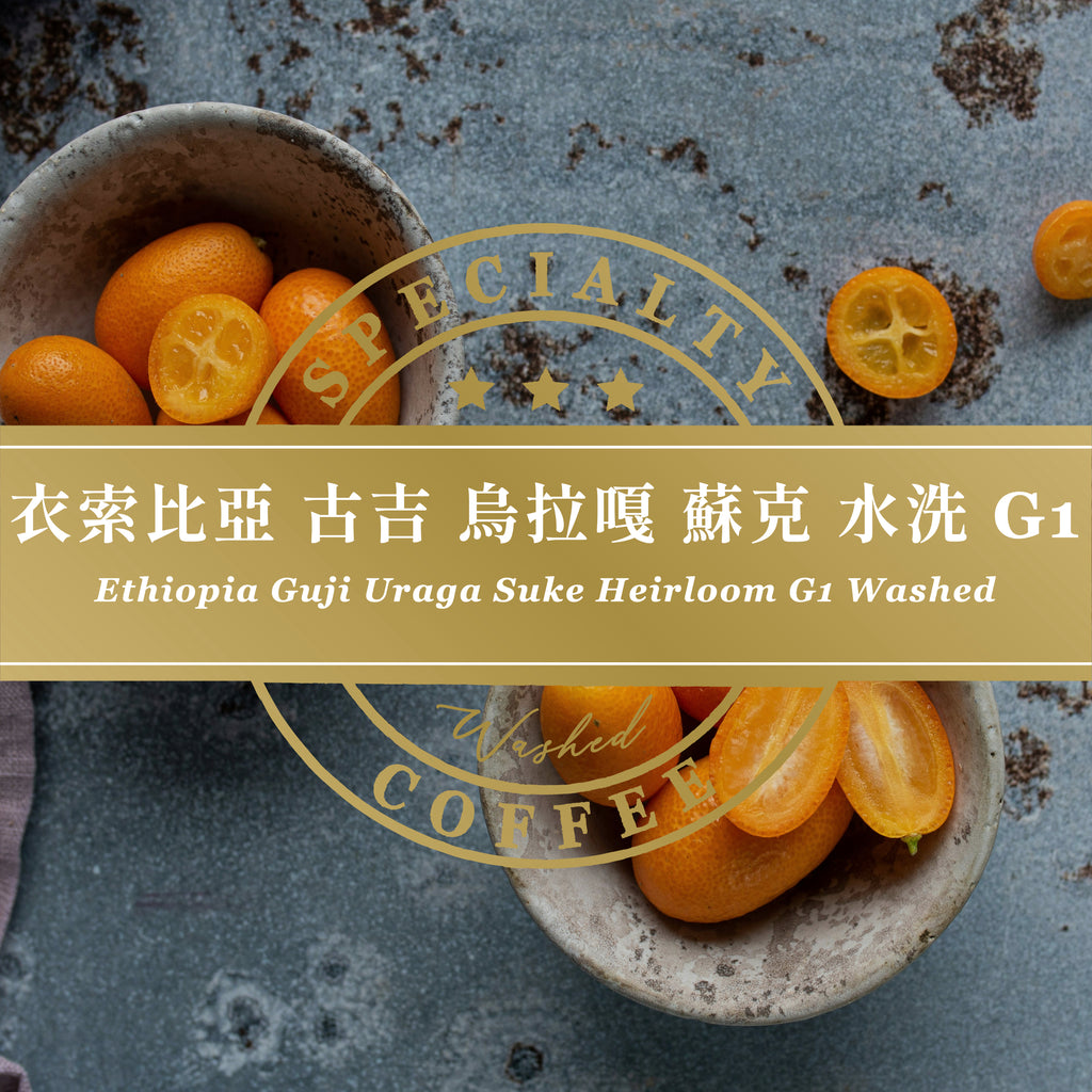 衣索比亞 古吉 烏拉嘎 蘇克 水洗 G1