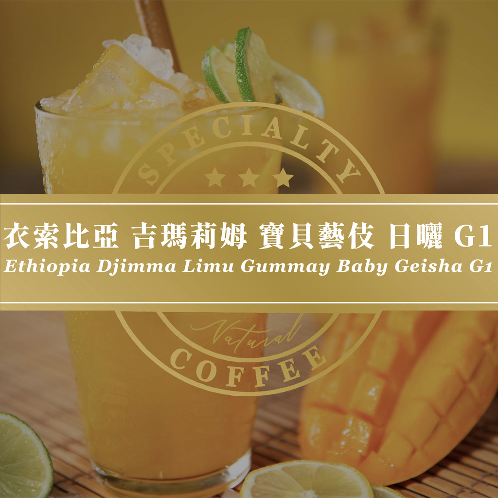 衣索比亞 吉瑪莉姆 寶貝藝伎 G1 日曬