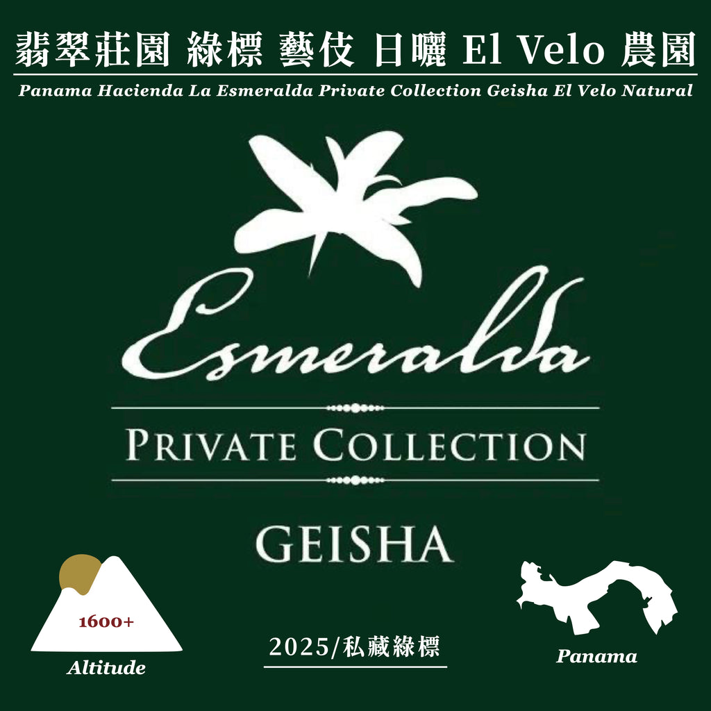 巴拿馬 翡翠莊園 藝伎 私藏綠標 日曬 El Velo｜2025產季