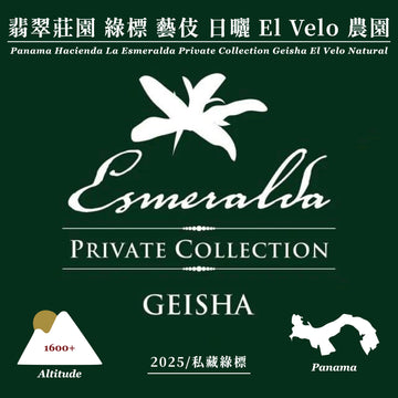 巴拿馬 翡翠莊園 藝伎 私藏綠標 日曬 El Velo｜2025產季