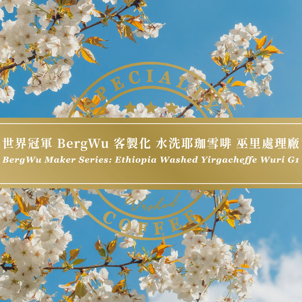 世界冠軍 BergWu 客製化 水洗耶珈雪啡 巫里處理廠